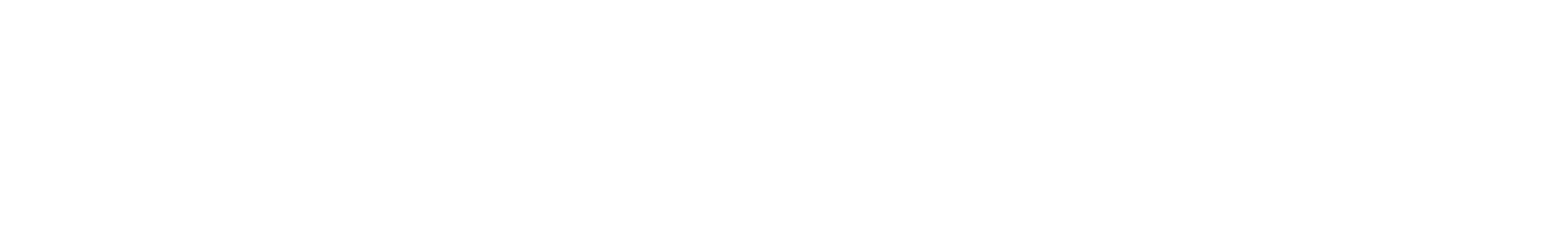 bg-logo